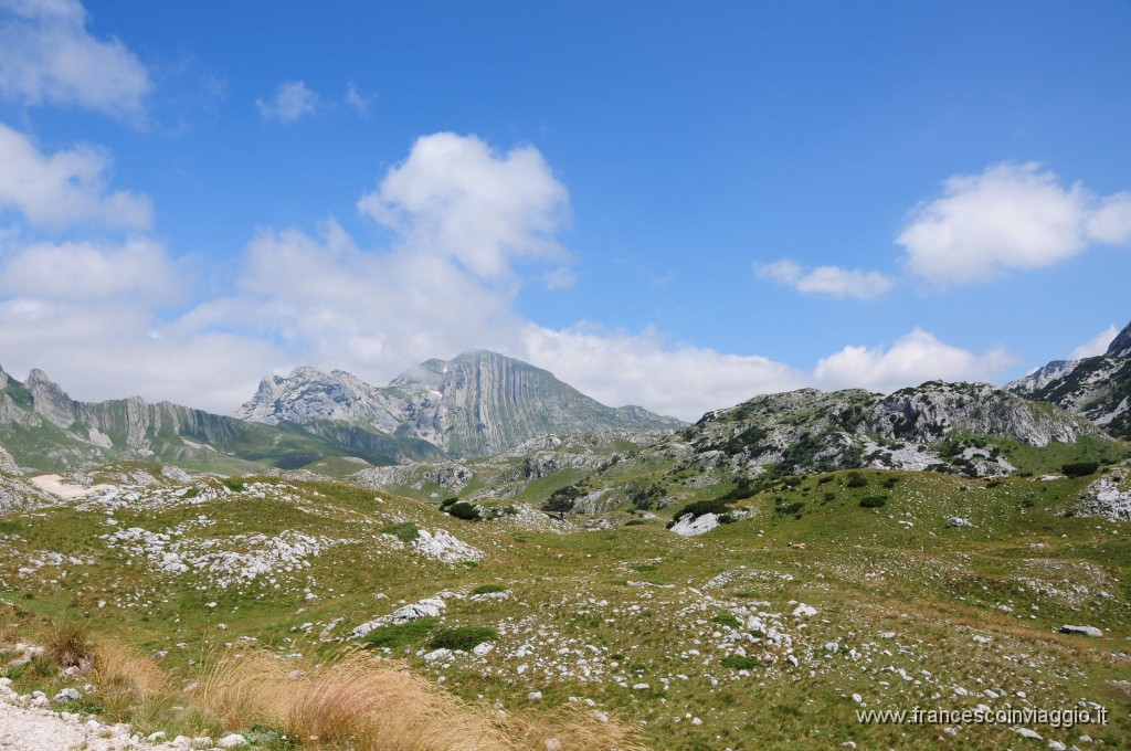 Parco Nazionale del Durmitor367DSC_3138.JPG